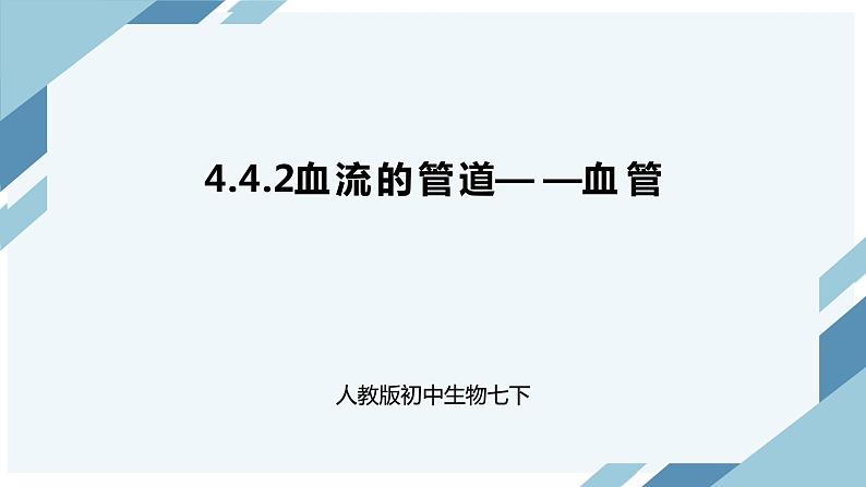 4.4.2血流的管道——血管(课件+教案+练习+导学案)01