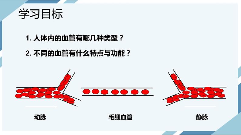 4.4.2血流的管道——血管(课件+教案+练习+导学案)03