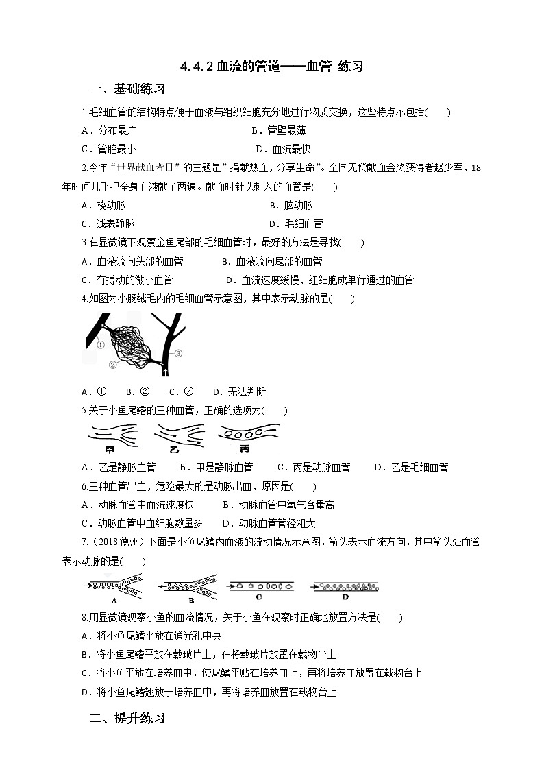 4.4.2血流的管道——血管(课件+教案+练习+导学案)01
