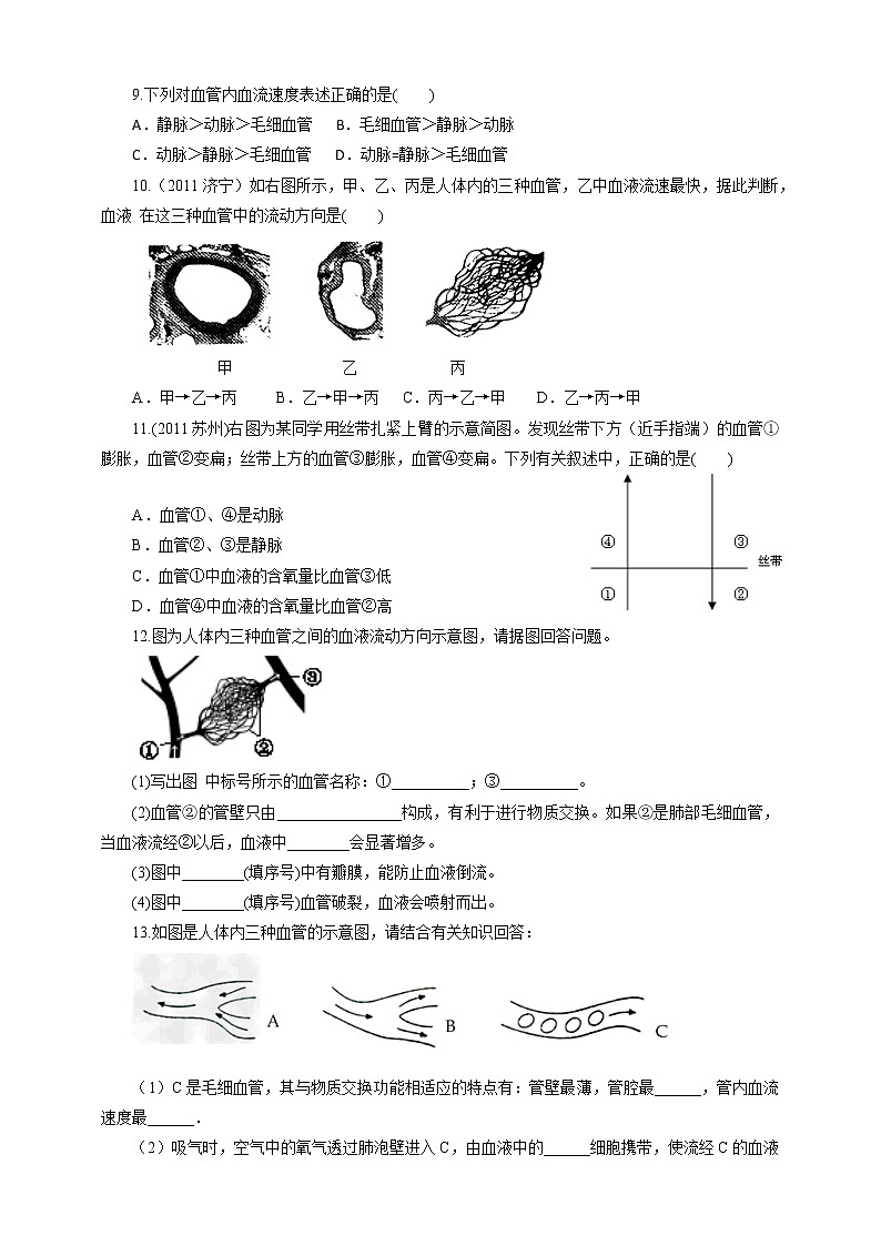 4.4.2血流的管道——血管(课件+教案+练习+导学案)02
