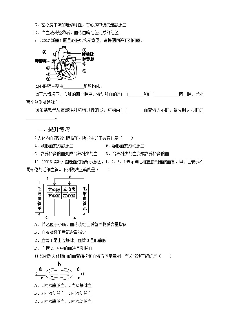 4.4.3輸送血液的泵——心臟 第二課時(shí) 練習(xí)第2頁(yè)