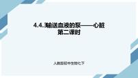 生物七年級下冊第三節(jié) 輸送血液的泵──心臟多媒體教學課件ppt