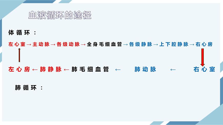 4.4.3輸送血液的泵——心臟 第二課時(shí) 課件第3頁(yè)