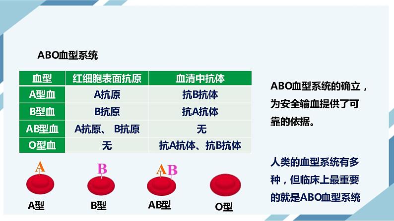 4.4.4输血和血型 课件第7页