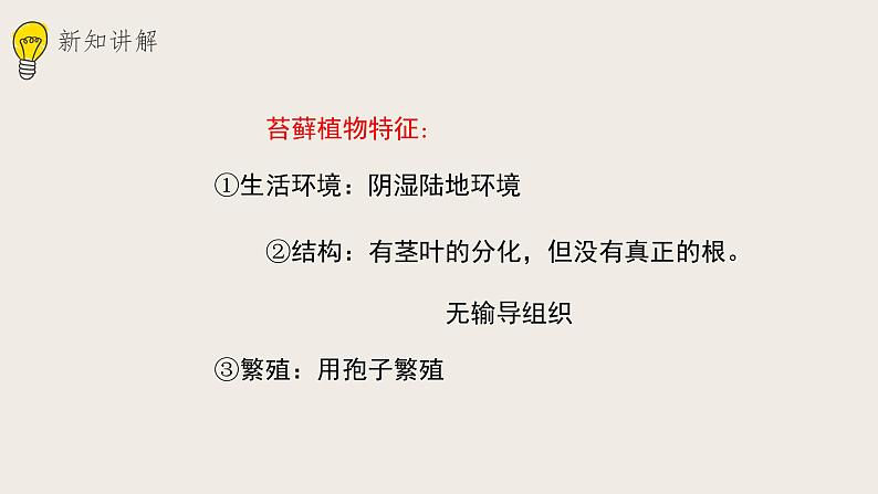 22.3植物的主要类群(课件+教案+练习+导学案)07