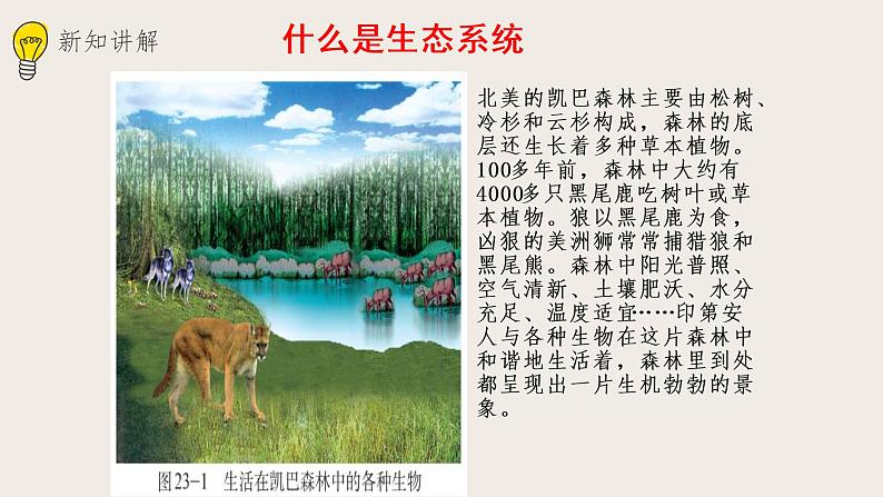 23.2生态系统概述(课件+教案+练习+导学案)02
