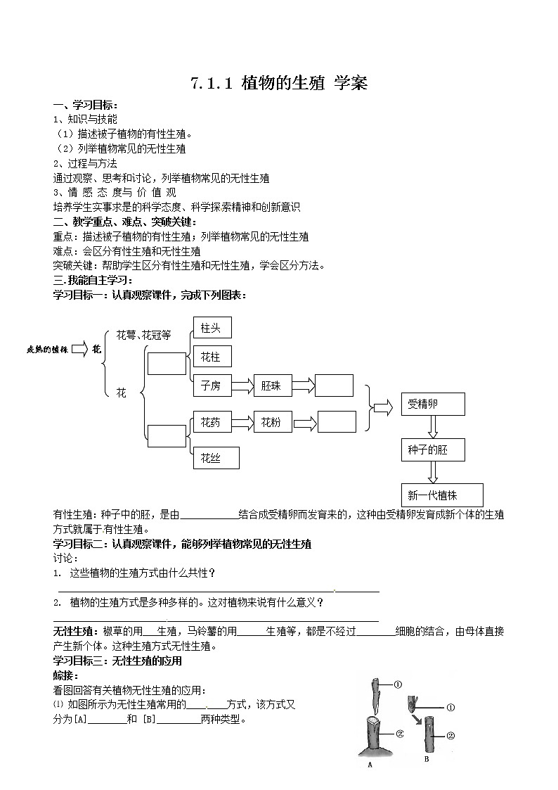 7.1.1 植物的生殖(课件+教案+练习+导学案)01