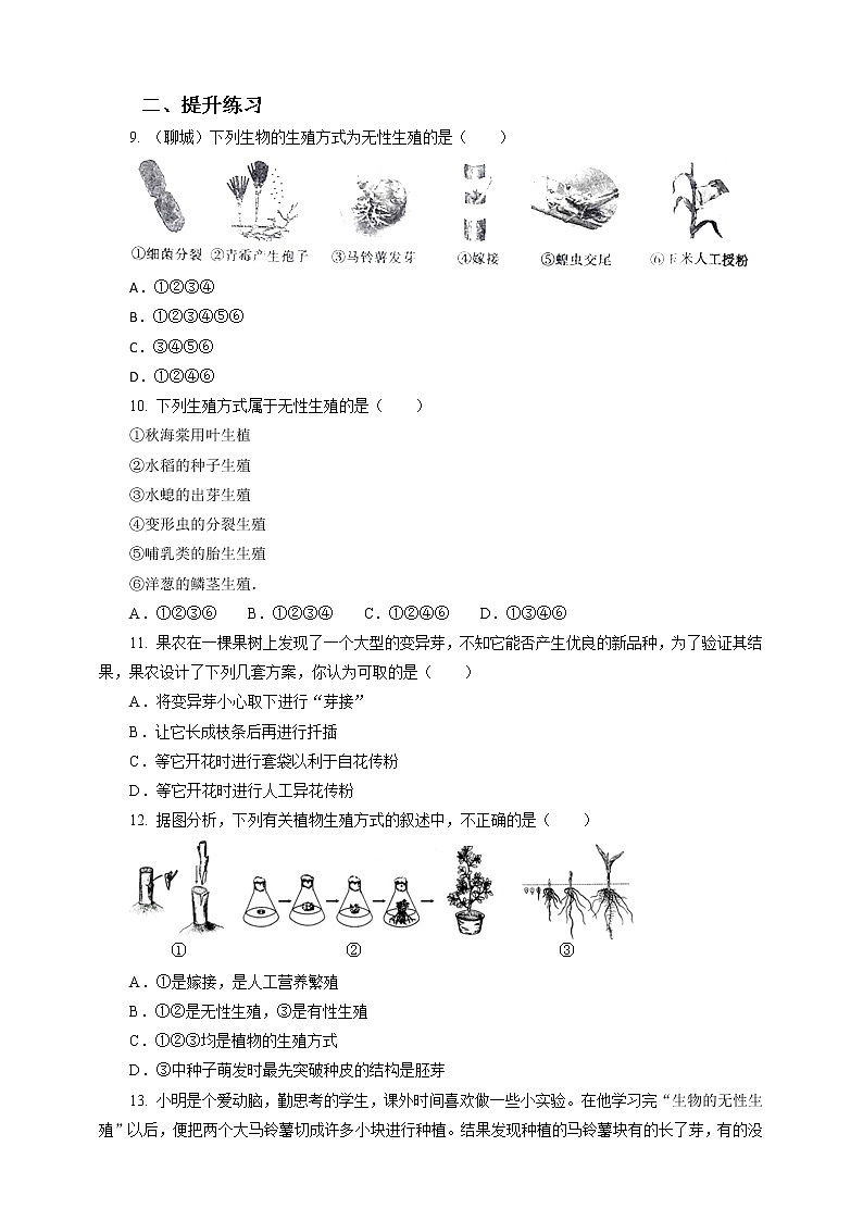 7.1.1 植物的生殖(课件+教案+练习+导学案)02