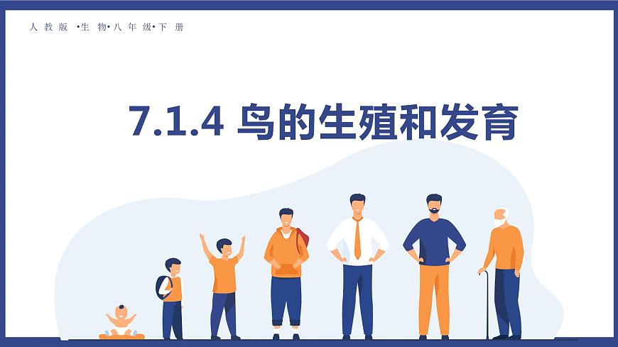 7.1.4 鳥的生殖和發(fā)育 課件第1頁
