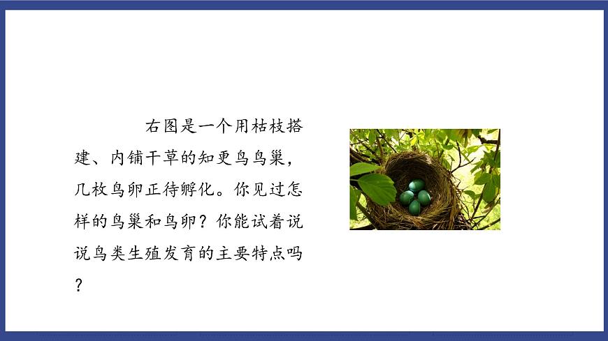 7.1.4 鳥的生殖和發(fā)育 課件第6頁