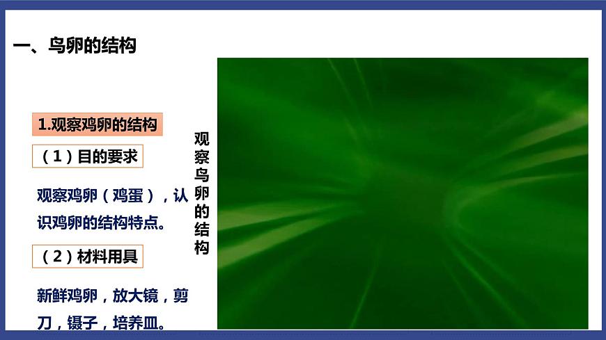 7.1.4 鳥的生殖和發(fā)育 課件第7頁