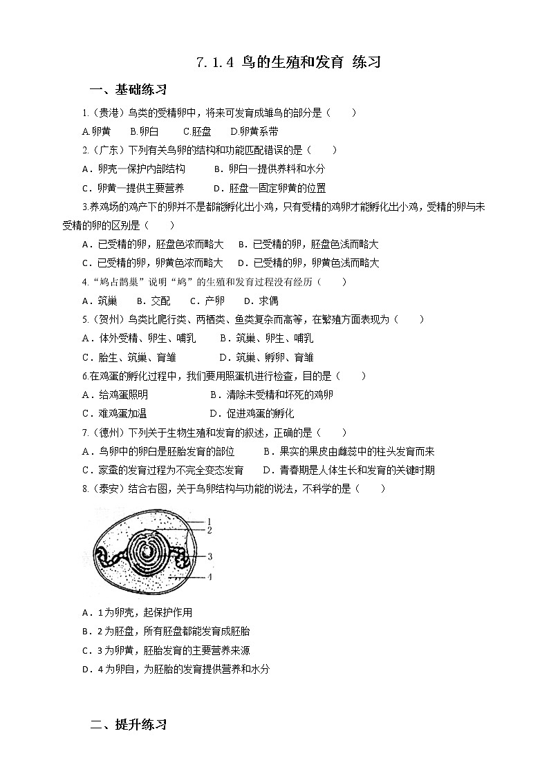 7.1.4 鳥的生殖和發(fā)育 練習(xí)第1頁