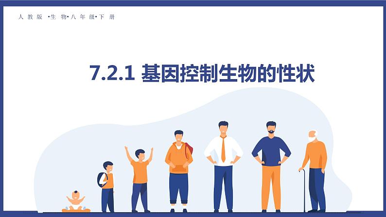 7.2.1 基因控制生物的性状(课件+教案+练习+导学案)01
