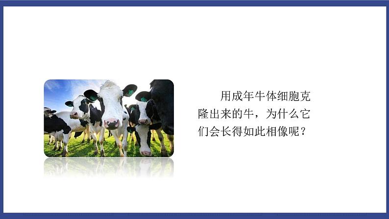 7.2.1 基因控制生物的性状(课件+教案+练习+导学案)03