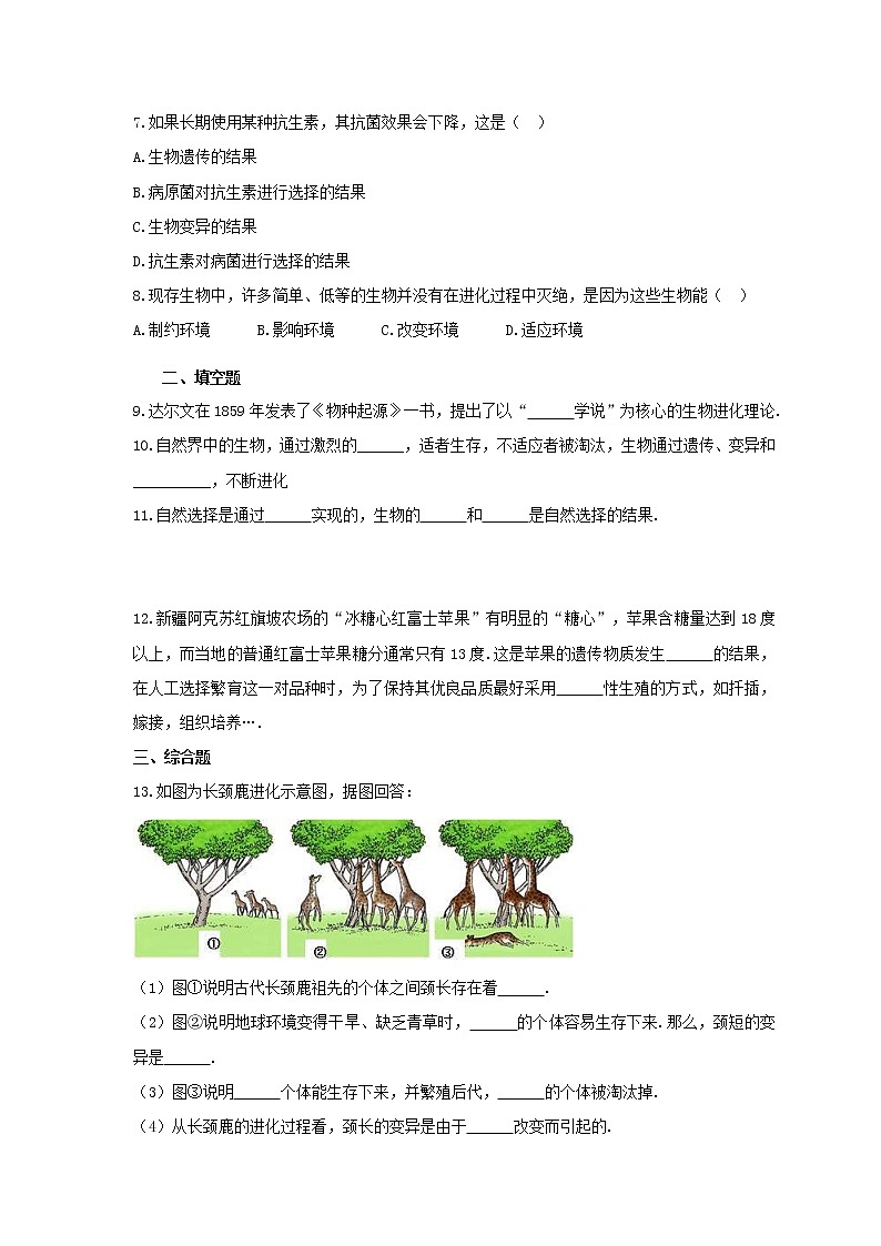 7.3.3 生物进化的原因(课件+教案+练习+导学案)02