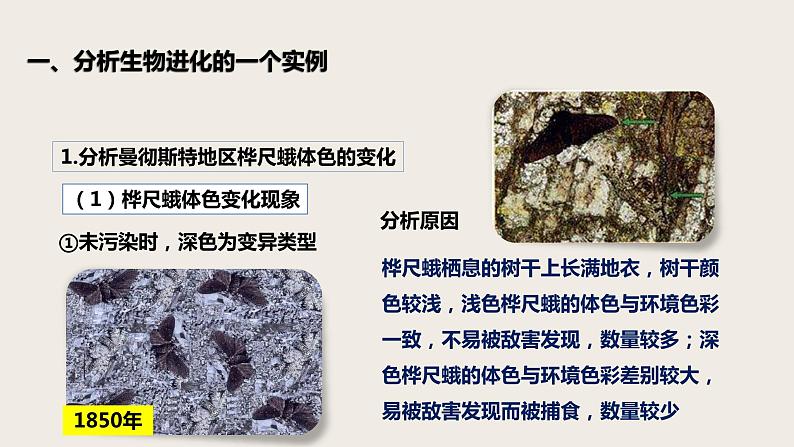 7.3.3 生物进化的原因(课件+教案+练习+导学案)03