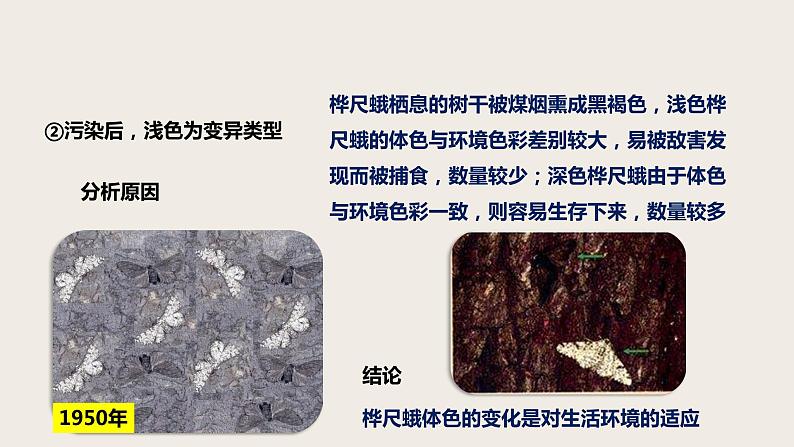 7.3.3 生物进化的原因(课件+教案+练习+导学案)04