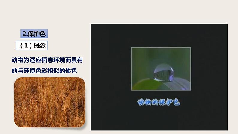 7.3.3 生物进化的原因(课件+教案+练习+导学案)07