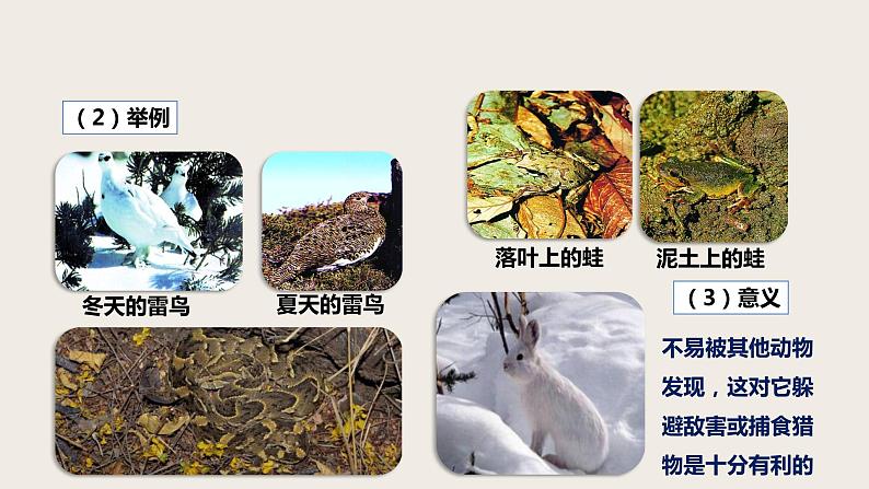 7.3.3 生物进化的原因(课件+教案+练习+导学案)08