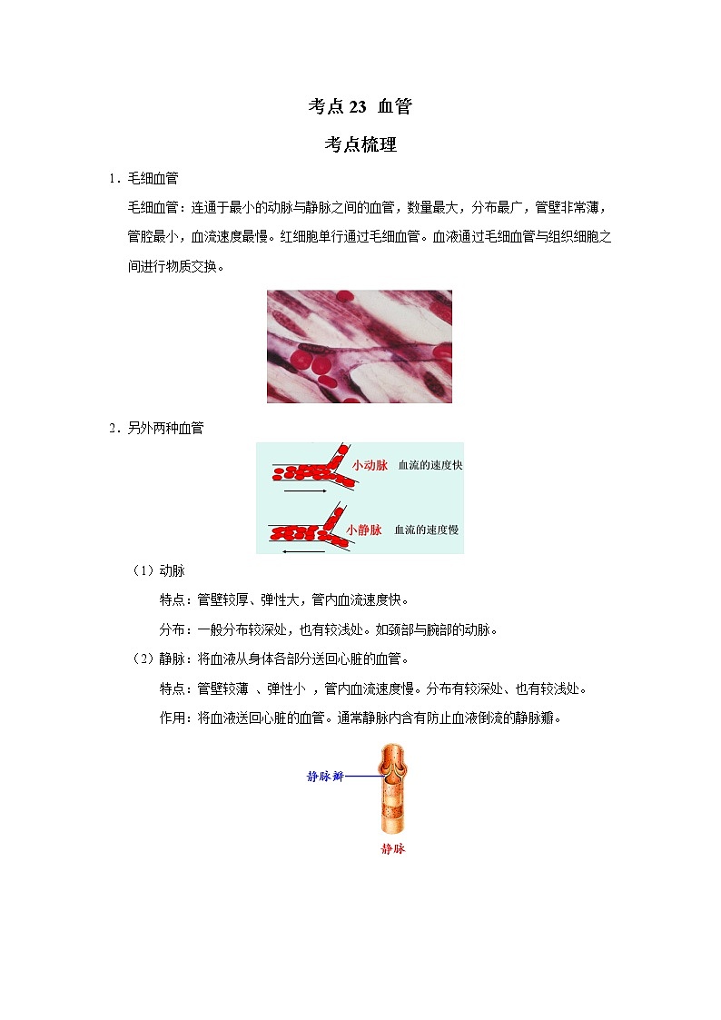 考点23 血管(解析版)-2022年生物中考一轮过关讲练(人教版)第1页