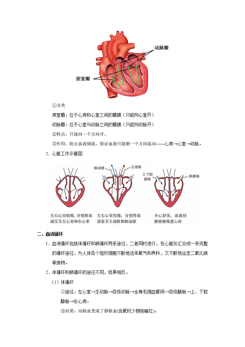 考点24 心脏和血液循环(解析版)-2022年生物中考一轮过关讲练(人教版)第2页