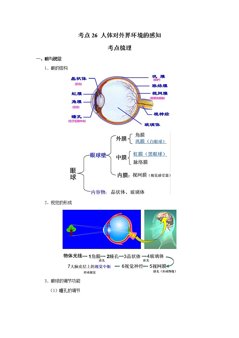 考点26 人体对外界环境的感知(解析版)-2022年生物中考一轮过关讲练(人教版)第1页