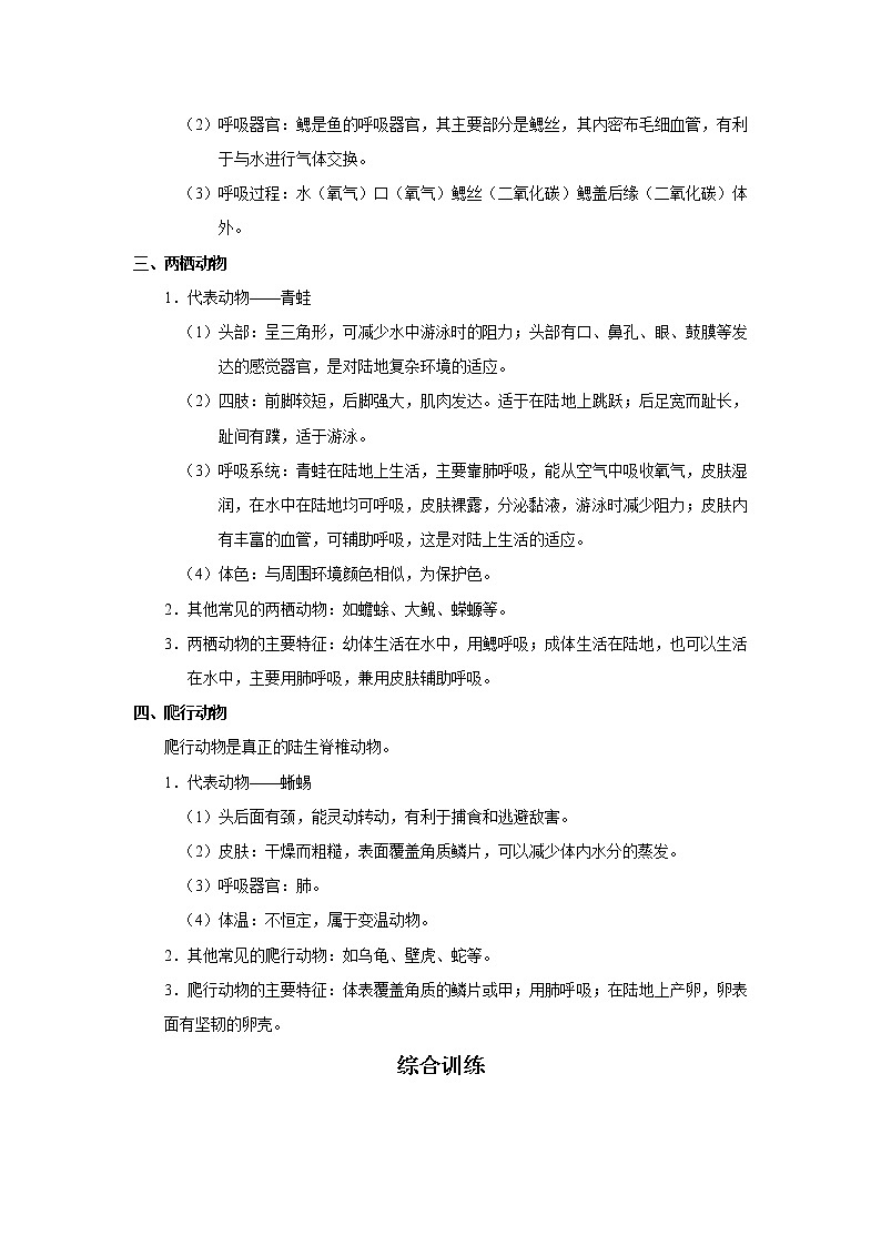 考点31 脊椎动物——变温动物(解析版)-2022年生物中考一轮过关讲练(人教版)02