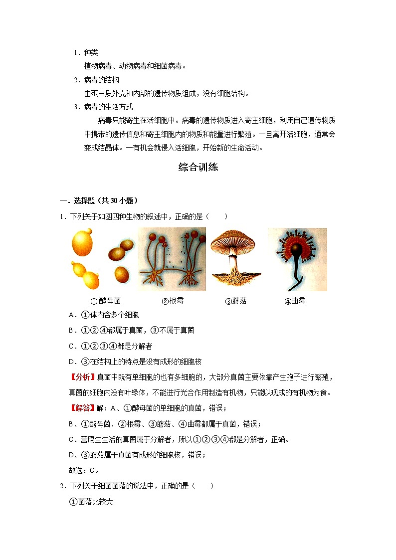 考点35 细菌、真菌与病毒(解析版)-2022年生物中考一轮过关讲练(人教版)第3页