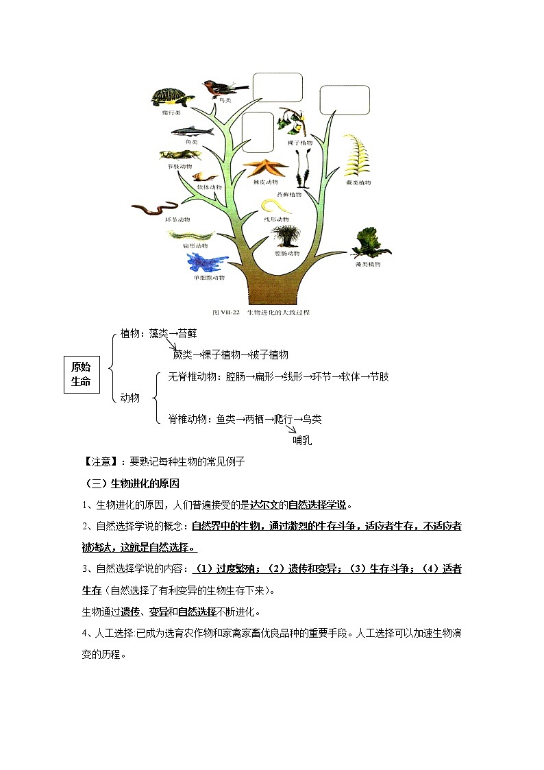 考点44 生命起源和生物进化(解析版)-2022年生物中考一轮过关讲练(人教版)03