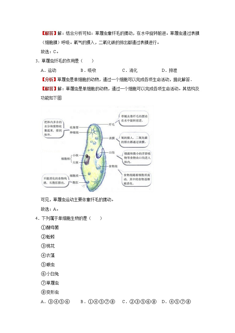 考点09 单细胞生物(解析版)-2022年生物中考一轮复习考点透析(人教版)第3页