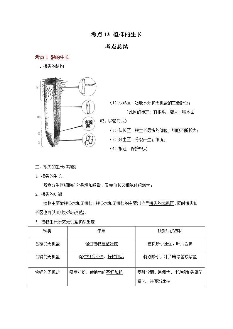 考点13 植株的生长(解析版)-2022年生物中考一轮复习考点透析(人教版)第1页