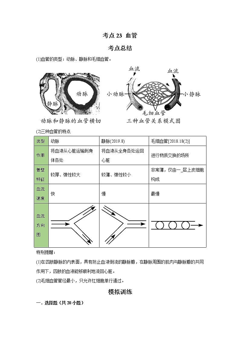 考点23 血管(解析版)-2022年生物中考一轮复习考点透析(人教版)第1页