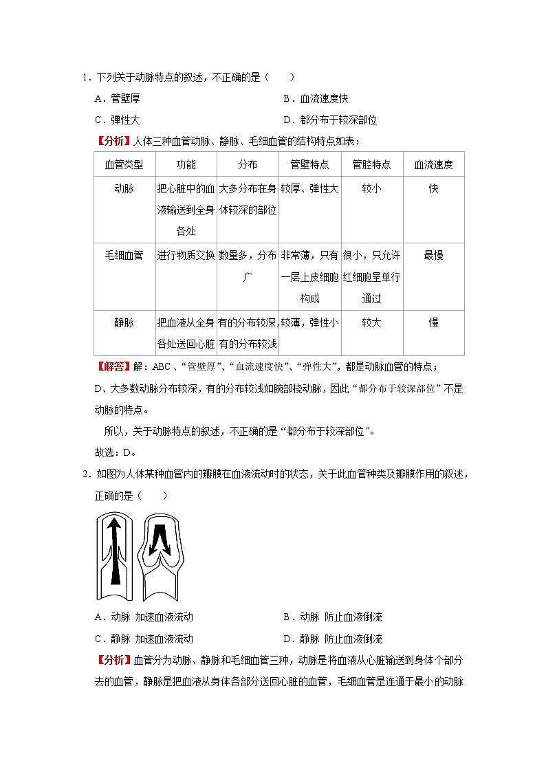 考点23 血管(解析版)-2022年生物中考一轮复习考点透析(人教版)第2页