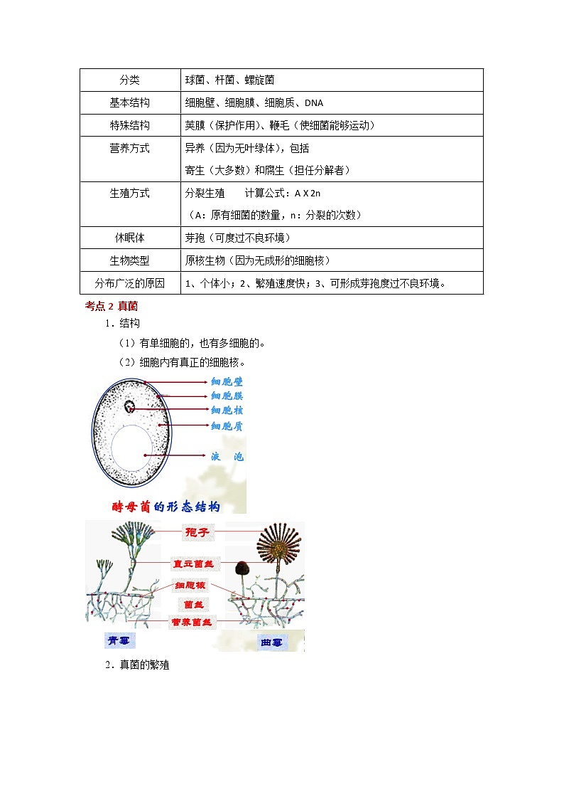 考点35 细菌、真菌和病毒(解析版)-2022年生物中考一轮复习考点透析(人教版)第2页