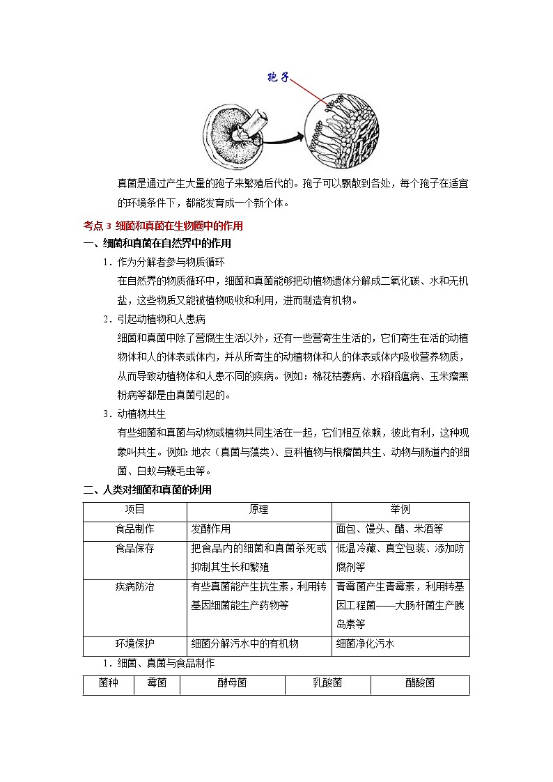 考点35 细菌、真菌和病毒(解析版)-2022年生物中考一轮复习考点透析(人教版)第3页