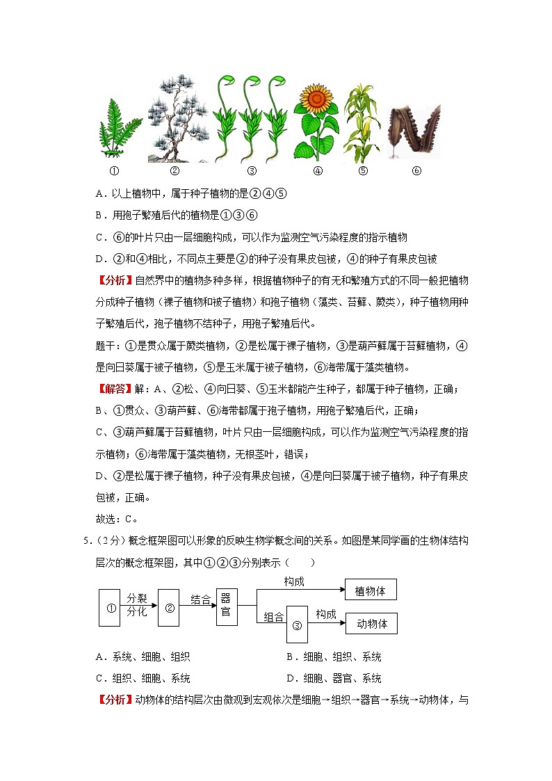 模拟测试(二)(解析版)-2022年生物中考一轮复习考点透析(人教版)第3页