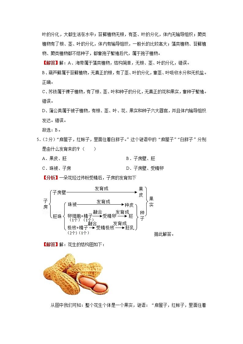 模拟测试(四)(解析版)-2022年生物中考一轮复习考点透析(人教版)03