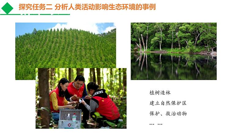 4.7人类活动对生物圈的影响-七年级生物下学期同步课件(人教版)第8页