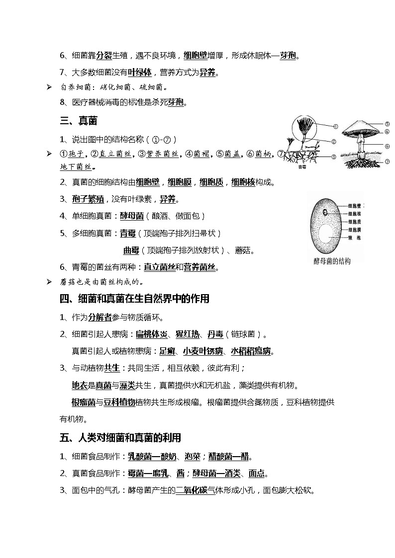 10 细菌、真菌和病毒+生物的多样性及其保护-2022年中考生物一轮复习核心考点必背知识清单02