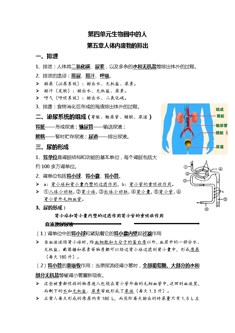 08人体内废物的排出+人体生命活动的调节-2022中考一轮复习核心考点必背知识清单第1页