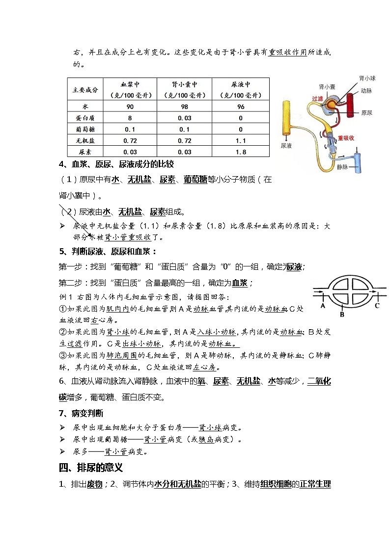 08人体内废物的排出+人体生命活动的调节-2022中考一轮复习核心考点必背知识清单第2页