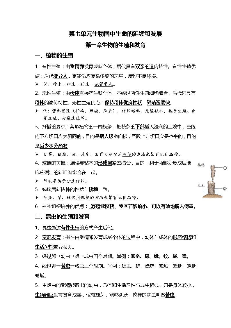 11 生物的生殖和发育+生物的遗传与变异-2022年中考生物一轮复习核心考点必背知识清单第1页