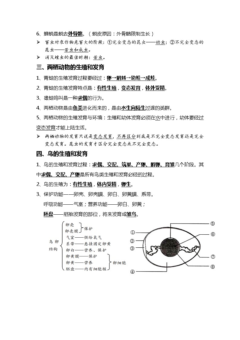 11 生物的生殖和发育+生物的遗传与变异-2022年中考生物一轮复习核心考点必背知识清单第2页