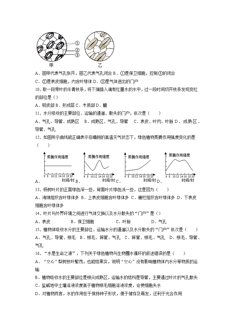 专题06 绿色植物与生物圈的水循环(习题)-【过一轮】2022年中考生物一轮复习课件精讲与习题精练(原卷版)第3页