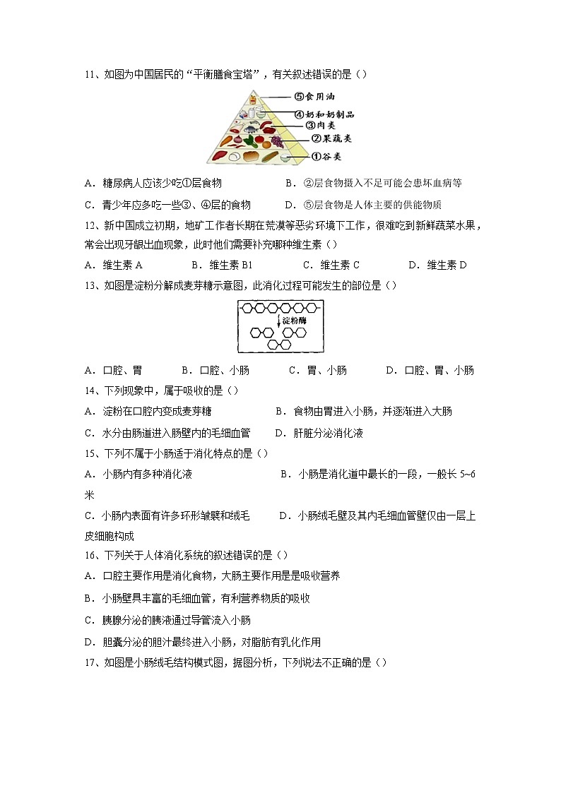 专题10 人体的营养(习题)-【过一轮】2022年中考生物一轮复习课件精讲与习题精练(原卷版)第3页