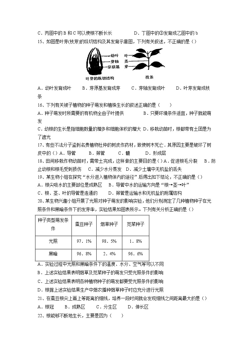 专题05 被子植物的一生(习题)-【过一轮】2022年中考生物一轮复习课件精讲与习题精练(原卷版)第3页