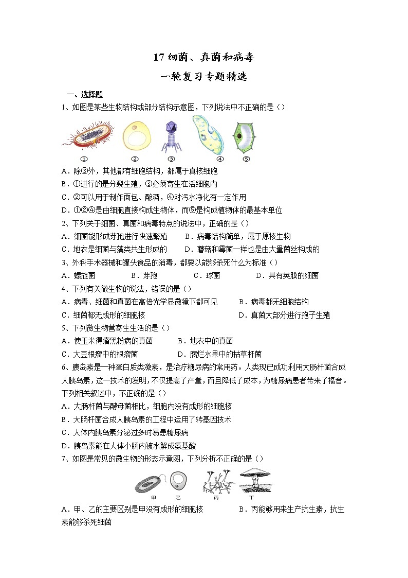专题17 细菌、真菌和病毒(习题)-【过一轮】2022年中考生物一轮复习课件精讲与习题精练(原卷版)第1页