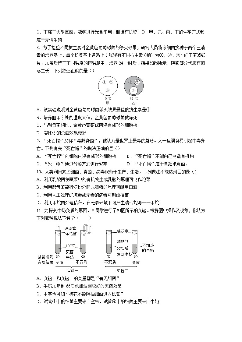 专题17 细菌、真菌和病毒(习题)-【过一轮】2022年中考生物一轮复习课件精讲与习题精练(原卷版)第2页