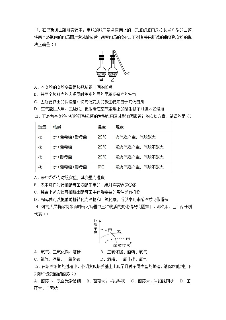 专题17 细菌、真菌和病毒(习题)-【过一轮】2022年中考生物一轮复习课件精讲与习题精练(原卷版)第3页