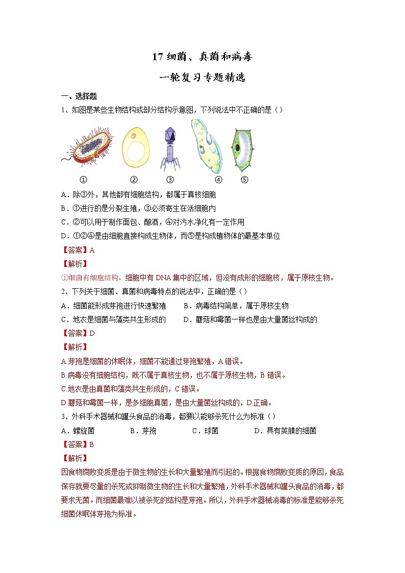专题17 细菌、真菌和病毒(习题)-【过一轮】2022年中考生物一轮复习课件精讲与习题精练(解析版)第1页